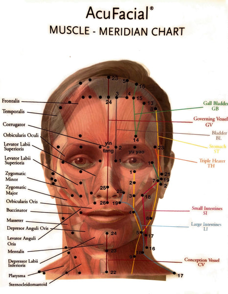 Acu Facial Meridian Muscle Chart BC-104 – Helio usa